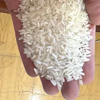 فروش عمده و تناژ برنج هندی و پاکستانی|خوردنی و آشامیدنی|تهران, مولوی|دیوار