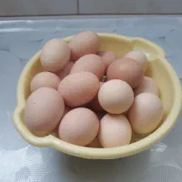 تخم مرغ محلی