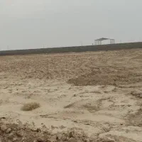 فروش زمین پنج هزار متر زمین کشاورزی|فروش زمین و ملک کلنگی|شاهینشهر, گرگاب|دیوار