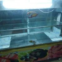 یخچال مرغ و ماهی|یخچال و فریزر|کرمان, |دیوار