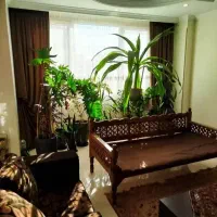 120-متر-جواز-تراکم-باورنکردنی