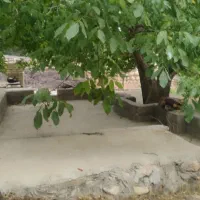 فروش یه قطعه باغ|فروش زمین و ملک کلنگی|صمصامی, |دیوار