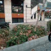 مشاوره و راهنمایی