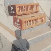 قفس راهکشی