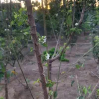 دست وپام خیلی عرق  میکنن چه راهی پیشنهاد میدین