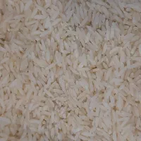 فروش برنج محلی