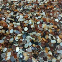 نگین سایز  همه سایز ها