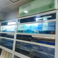 فروش مجموعه آکواریوم