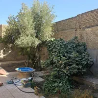 اجاره خانه ویلایی