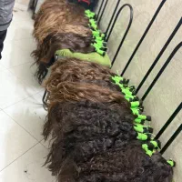 مرکز موی خریدار موی بالاترین سطح کشور