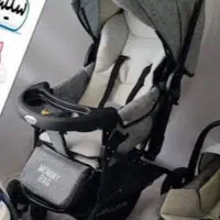 کالسکه دلیجان