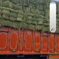 یونجه خشک انباری|حیوانات مزرعه|پیر سلیمان, |دیوار