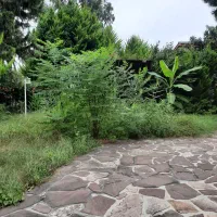 ویلا دربست مبله در رویان خ فرهنگ