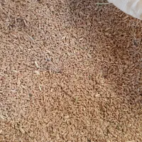 گندم|لوازم جانبی حیوانات|اسفراین, |دیوار