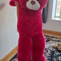 عروسک خرس|اسباببازی بچه|یاسوج, |دیوار