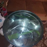 سطل سبزی خردکن|خردکن، آسیاب، غذاساز|سبزوار, شرق کال میانی|دیوار