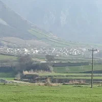 سیلو گندم فروشی لطفا فقط مشتری واقعی تماس بگیره