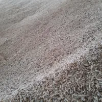 جو آبی محلی