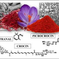 استخدام دکترای شیمی (کروسین زعفران)