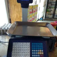 ترازو توزین صدر LSG