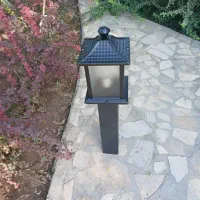 تولید و پخش