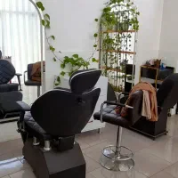 تجهیزات آرایشگاهی|آرایشگاه و سالنهای زیبایی|بهنمیر, |دیوار