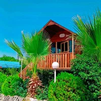 ساخت کلبه چوبی وخدمات نجاری|خدمات پیشه و مهارت|دزفول, |دیوار