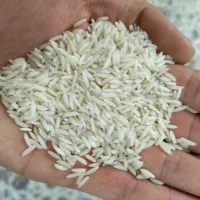 برنج هاشمی