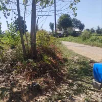 فروش زمین مسکونی 691متر رشت روستای طرازکوه(نسق)|فروش زمین و ملک کلنگی|رشت, پسیخان|دیوار