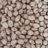 خشکباری ارزانکده مرغوب|خوردنی و آشامیدنی|شیراز, دست خضر|دیوار