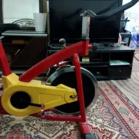 دوچرخه ثابت