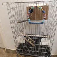 قفس|لوازم جانبی حیوانات|خرمشهر, |دیوار