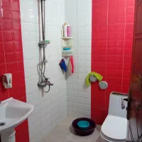 مسکن|اجارهٔ آپارتمان|اصفهان, باغ فدک|دیوار