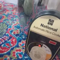 پلوپز ۱۸نفره ناسیونال اصل قدیمی