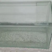 آکواریوم|ماهی|خرم‌آباد, |دیوار