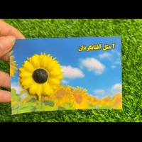 گیفت های جشن شکوفه ها و جشن اغاز سال تحصیلی|لوازم التحریر|تهران, فلسطین (میدان انقلاب)|دیوار