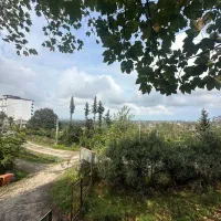 ویلای پلاک 1 جنگلی دربست حیاط دار حومه نمک ابرود|اجارهٔ کوتاهمدت آپارتمان و سوئیت|چالوس, |دیوار