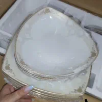 ۲ دست سرویس چینی(توس و پردیس) آکبند ۳۰پارچه