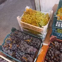 انگور سیاه درجه یک آبدار وشیرین وخوشمزه کوهستان|خوردنی و آشامیدنی|مشهد, گلبرگ شمالی|دیوار