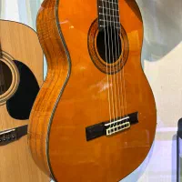 گیتار آریا +Ak80