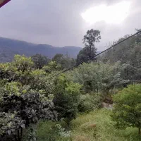 ۱۹۲.۵ متر بر ۷ شمالی کلنگی دوبلکس در سنایی
