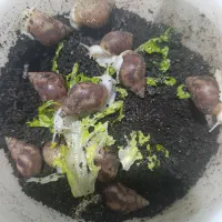 حلزون رایگان