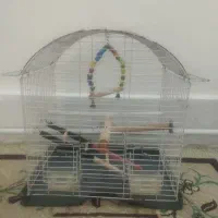 قفس با وسایل