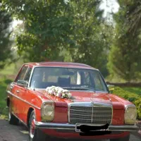 تشریفات مجالس|خدمات پذیرایی، مراسم|رشت, استادسرا|دیوار