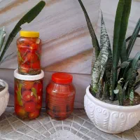ترشیجات|خوردنی و آشامیدنی|مشهد, کاظم آباد|دیوار