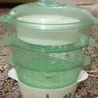 بخار پز و هم میوه خشک کن و سرخ کن