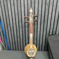 کمانچه حرفه ای امیر