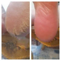 اسپا تضمینی وی ای پی ۴۰۰ هزار تومان تضمینی