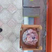 دو عدد دیسک ترمز جلو و لنت خودروی ورنا کره ای