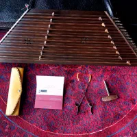 سنتور موسوی تک مهر ویژه